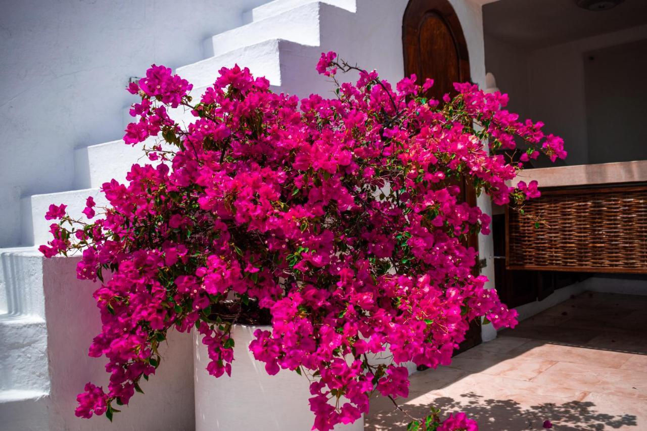 Hotel Aguamarina Boutique (Adults Only) Cartagena ภายนอก รูปภาพ